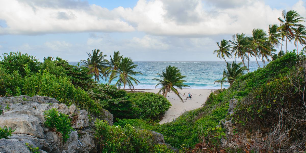 Vacanze nel mondo: Barbados