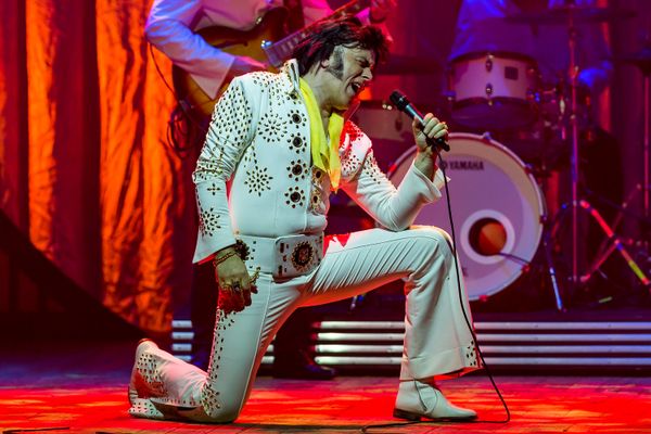 Costume da Elvis re del rock per uomo