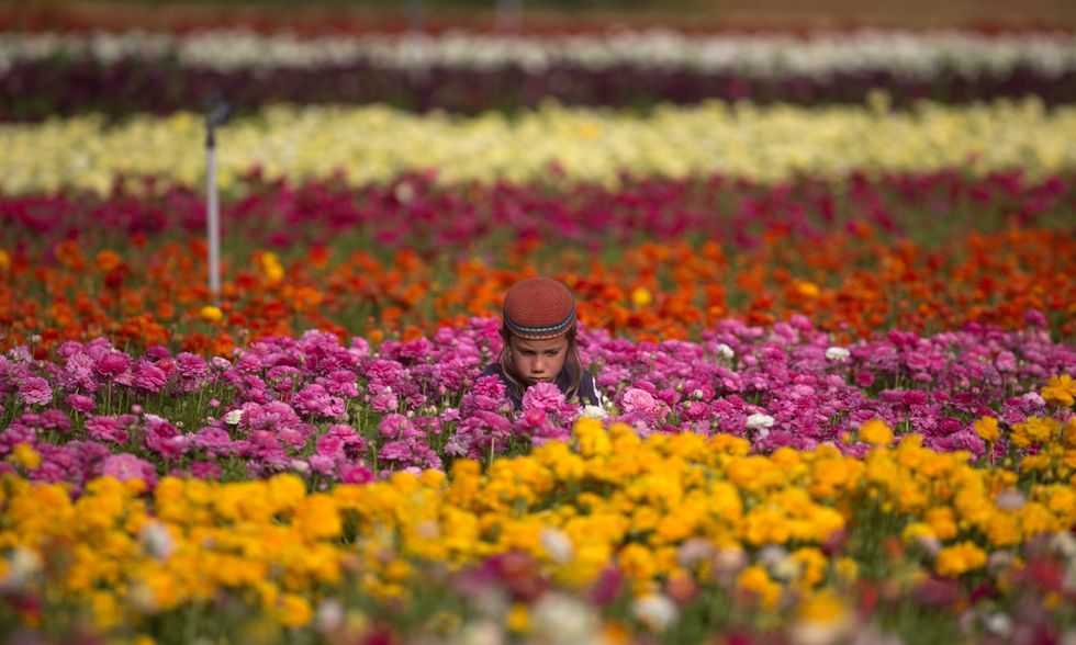 Le foto più belle della settimana - 17/23 aprile