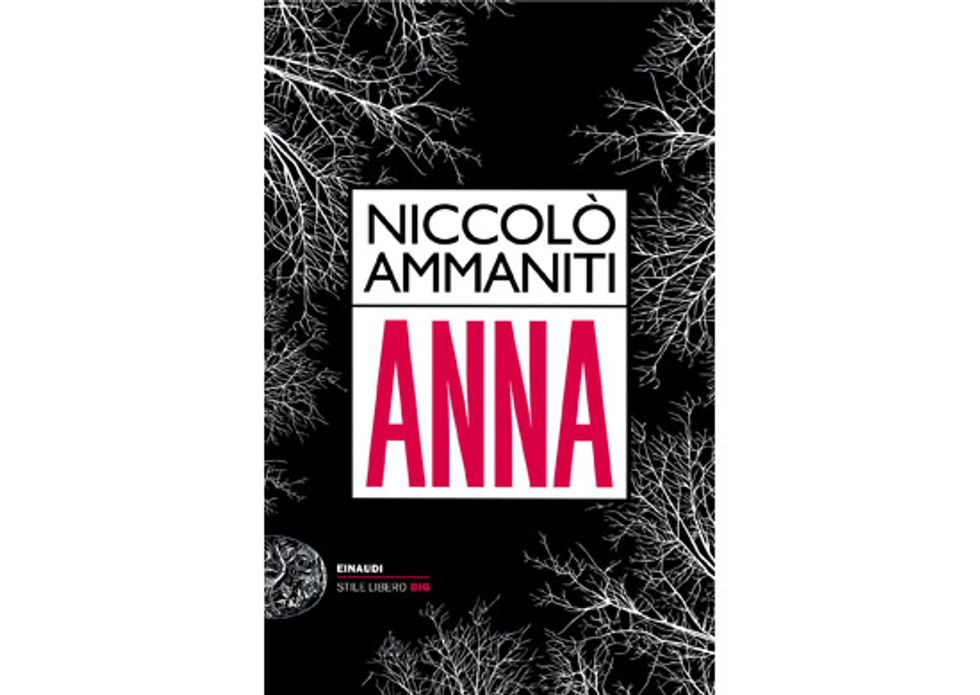 Il momento è delicato, Niccolò Ammaniti. Giulio Einaudi editore - Stile  libero Big