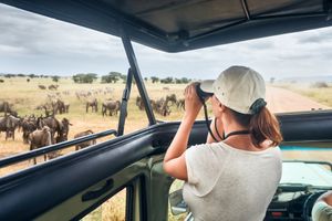 Kenya, Armando Tanzini, turismo a Malindi