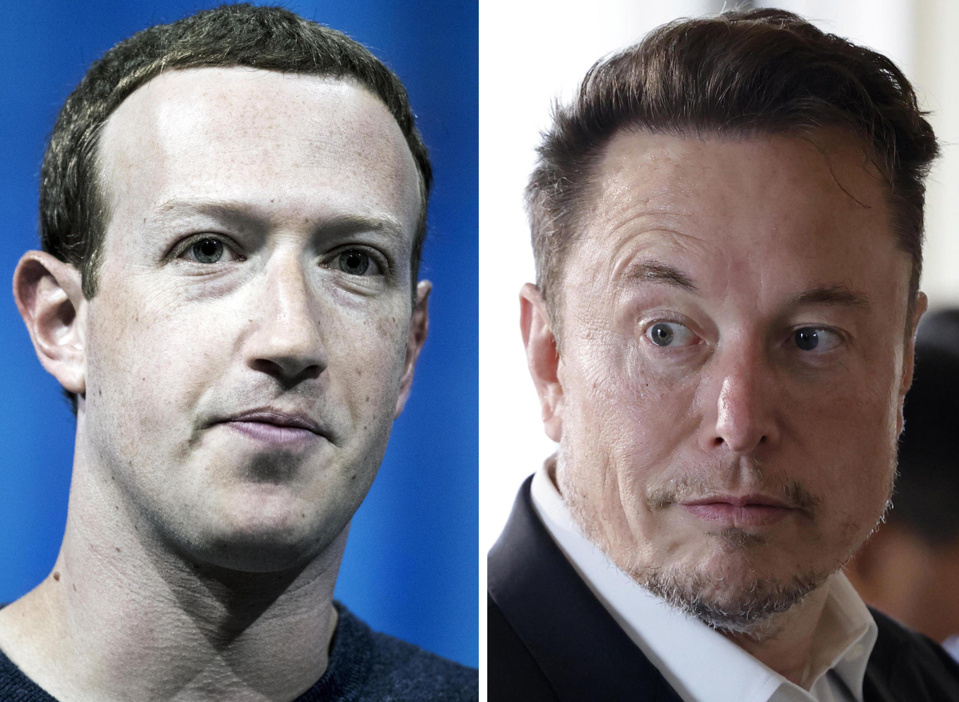 musk zuckerberg