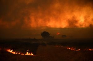 Incendi Grecia