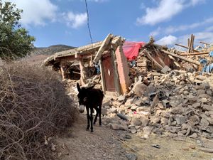 Marocco Terremoto