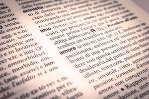 lingua italiana definizioni vocabolario 