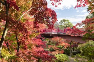 foliage momijigari danpung autunno viaggi