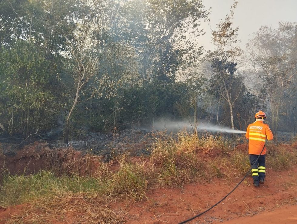 Brasile: in un anno a fuoco un'area più grande dell'Italia