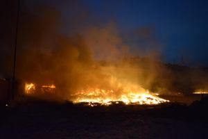 Incendi in sicilia