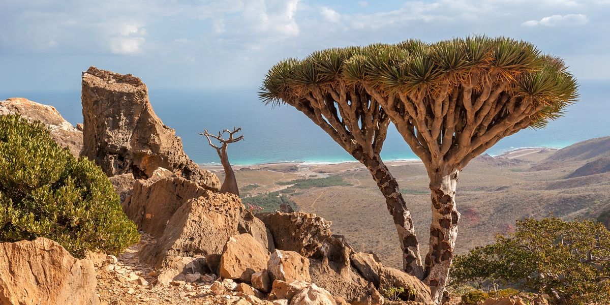 L'isola di Socotra, Yemen