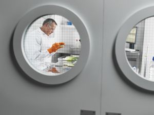 ​cibo in laboratorio