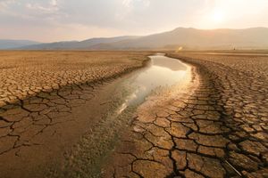 ​Desertificazione, siccità