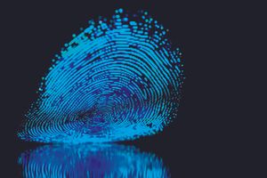 ​finger print, impronte digitali