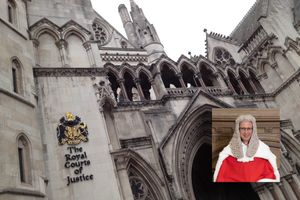 ​Royal Court of Justice, Londra, Indi Gregory