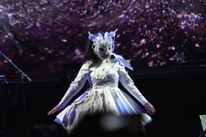  La cantante islandese Björk 