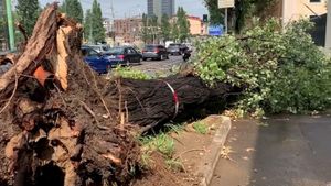 maltempo fìgarazza morta scout bresciano vittima albero caduto