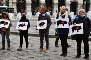 ​manifestazione animalista in difesa dei cinghiali