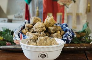 ​Tartufo Bianco Città di Castello