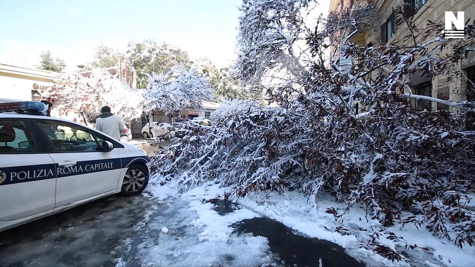 neve Roma alberi abbattuti divelti strada video