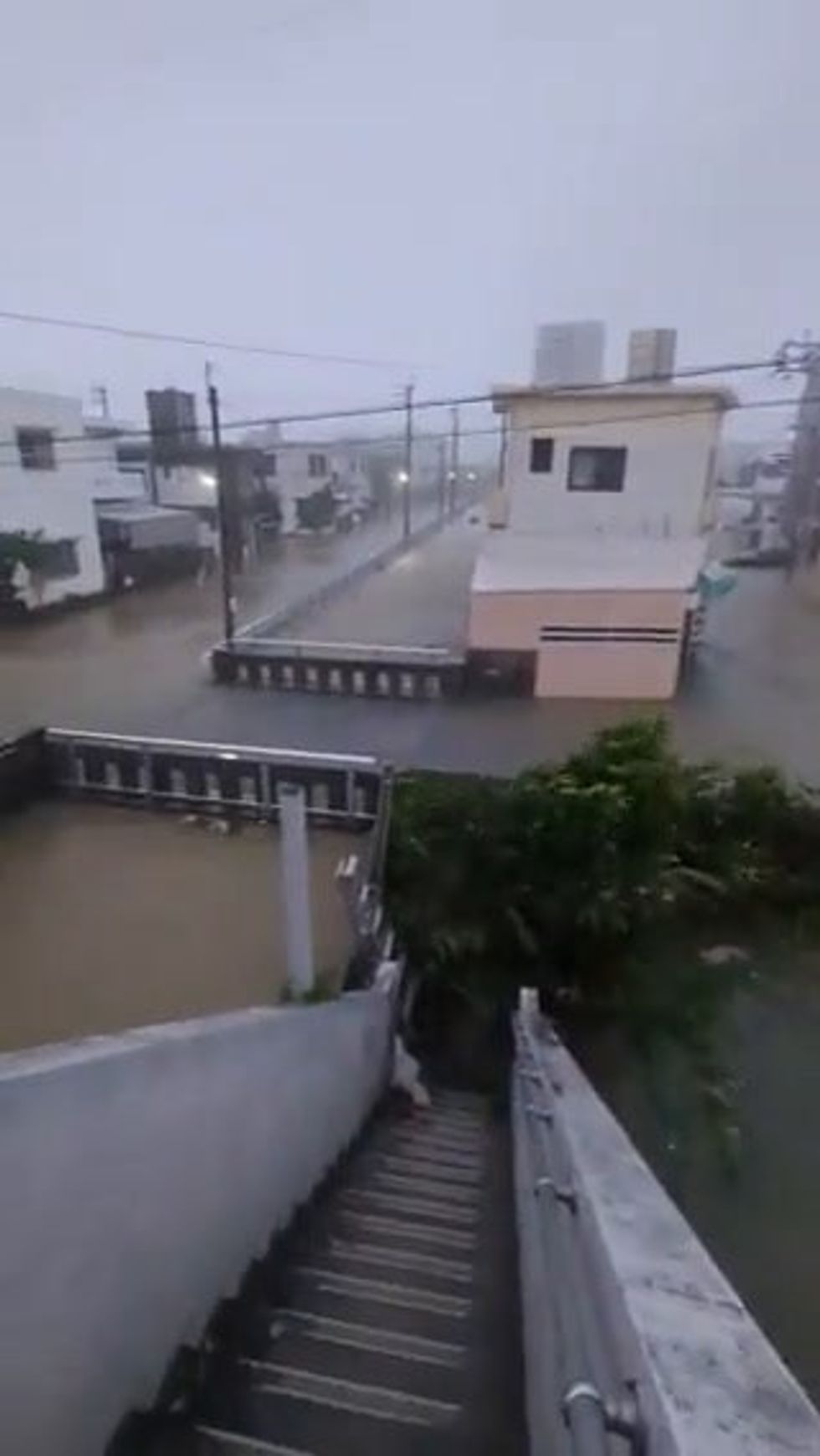 Giappone: Okinawa sommersa dall'acqua a causa del tifone Khanun | video