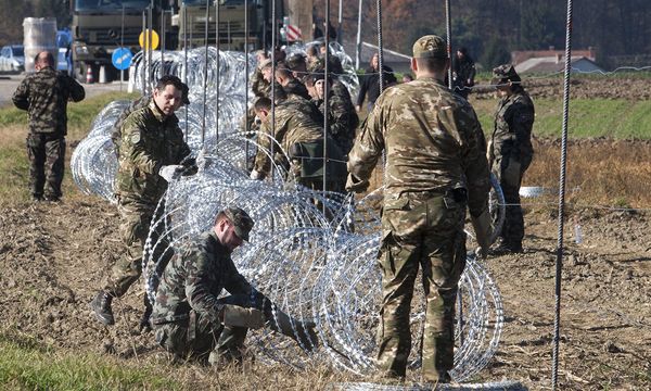 Slovenia, filo spinato al confine con la Croazia - Foto - Panorama