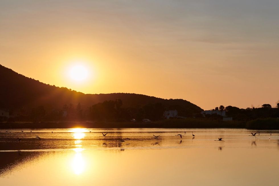 tramonto-fenicotteri