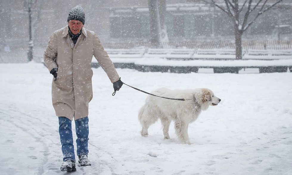 https://www.panorama.it/media-library/un-uomo-e-un-cane-nella-neve.jpg?id=19763470&width=980